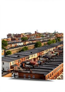 Urban Planning Book by Ivan R. Dee Kindle Edition-0